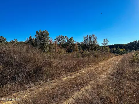 01 Mississippi 331, Paris, MS 38949 photo 71