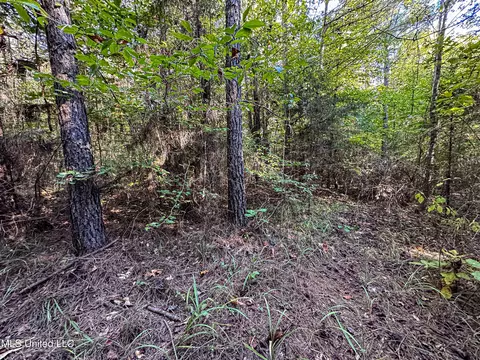 01 Mississippi 331, Paris, MS 38949 photo 77