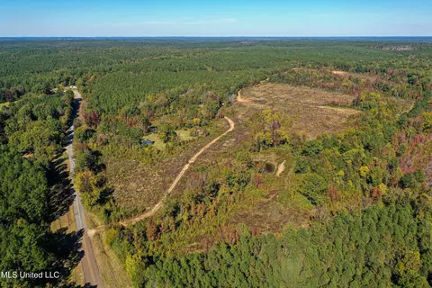 01 Mississippi 331, Paris, MS 38949 photo 30