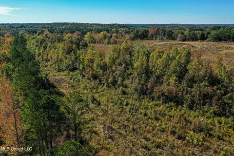 01 Mississippi 331, Paris, MS 38949 photo 12