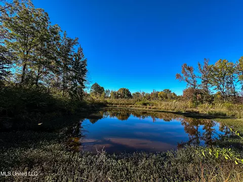 01 Mississippi 331, Paris, MS 38949 photo 4