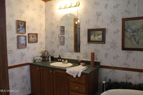 1141 Ward Jackson Rd, Summit, MS 39666 photo 8
