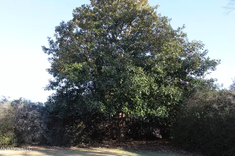 1141 Ward Jackson Rd, Summit, MS 39666 photo 14