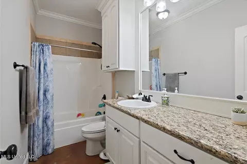 Bath - 304 Ridge Pointe Dr, Brandon, MS 39042 photo 2 of 2