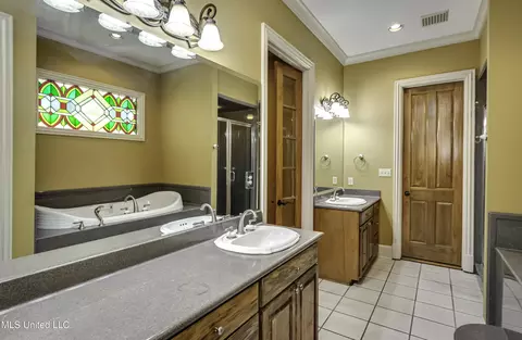 Bath - 702 Tanglewood Dr, Madison, MS 39110 photo 5 of 11