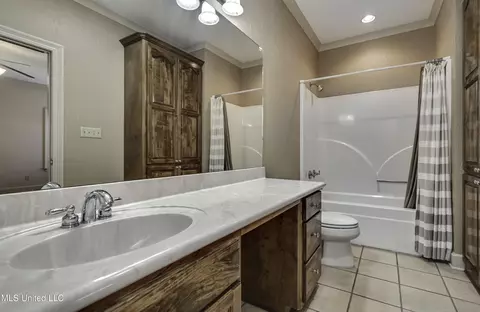 Bath - 702 Tanglewood Dr, Madison, MS 39110 photo 8 of 11