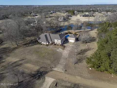 View/Area - 702 Tanglewood Dr, Madison, MS 39110 photo 2 of 22
