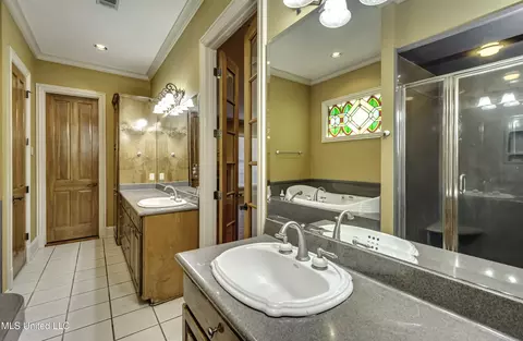 Bath - 702 Tanglewood Dr, Madison, MS 39110 photo 6 of 11