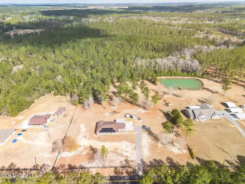 View/Area - 1061 E Mchenry Rd, Perkinston, MS 39573 photo 2 of 3