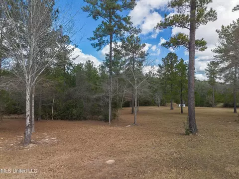 Exterior - 1061 E Mchenry Rd, Perkinston, MS 39573 photo 6 of 6