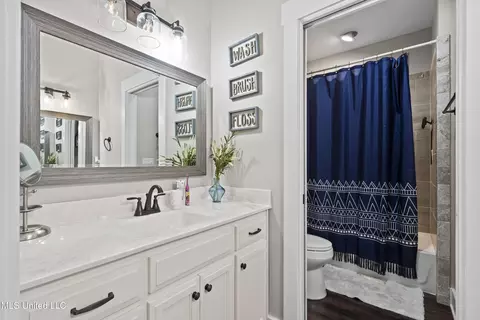 Bath - 1134 Sandy Betts Rd, Nesbit, MS 38651 photo 3 of 4