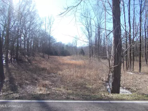0 Austin Rd, Lake Cormorant, MS 38641