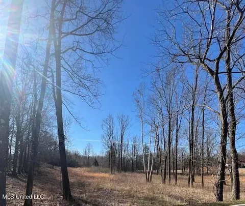 0 Austin Rd, Lake Cormorant, MS 38641