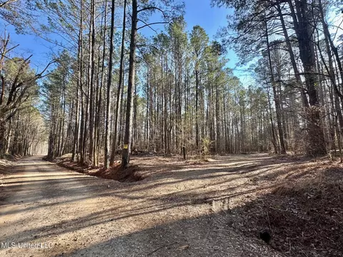 1 Evans Rd, Carthage, MS 39051 photo 130