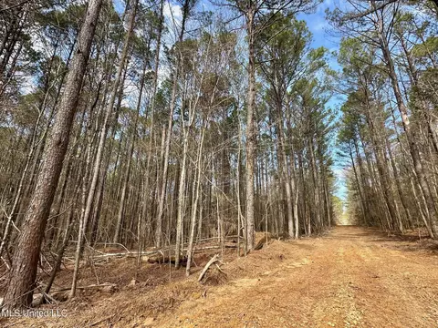 1 Evans Rd, Carthage, MS 39051 photo 6