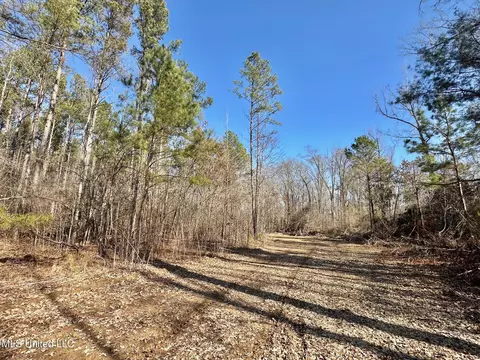 1 Evans Rd, Carthage, MS 39051 photo 113