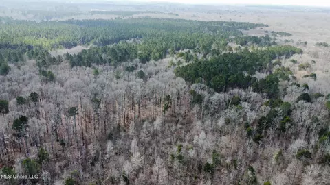 1 Evans Rd, Carthage, MS 39051 photo 18