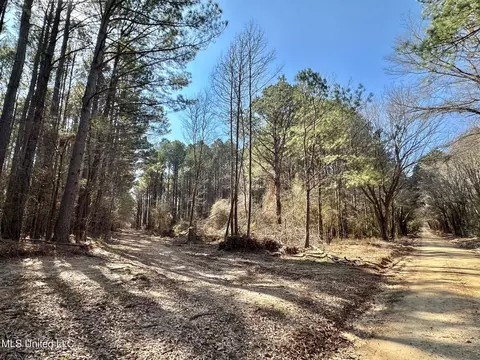 1 Evans Rd, Carthage, MS 39051 photo 35