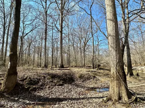 1 Evans Rd, Carthage, MS 39051 photo 47