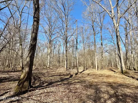 1 Evans Rd, Carthage, MS 39051 photo 109