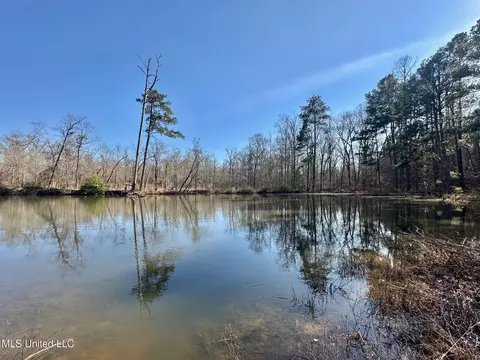 1 Evans Rd, Carthage, MS 39051 photo 128