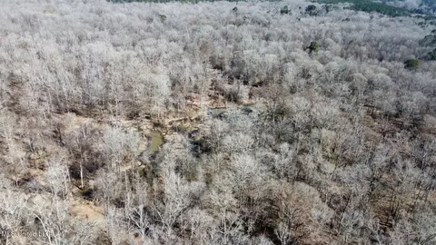 1 Evans Rd, Carthage, MS 39051 photo 70