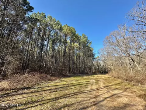 1 Evans Rd, Carthage, MS 39051 photo 126