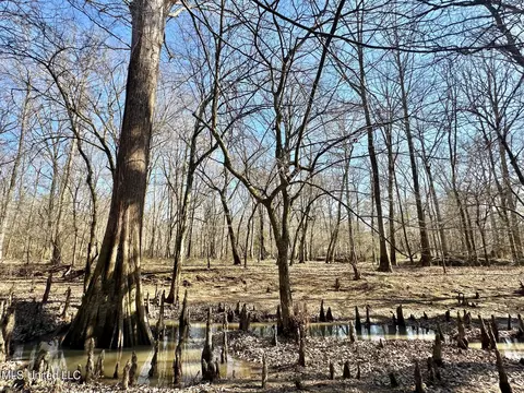 1 Evans Rd, Carthage, MS 39051 photo 108