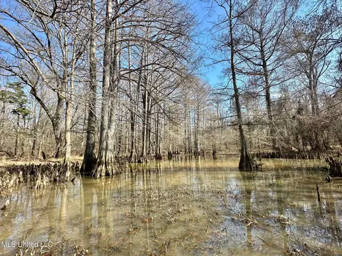 1 Evans Rd, Carthage, MS 39051 photo 62