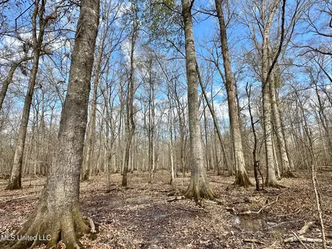 1 Evans Rd, Carthage, MS 39051 photo 14