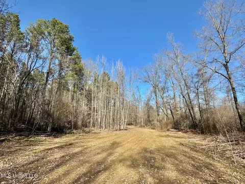 1 Evans Rd, Carthage, MS 39051 photo 114
