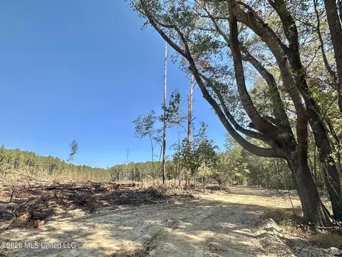 1 Evans Rd, Carthage, MS 39051 photo 61