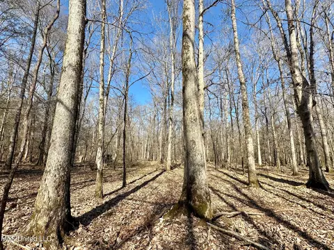 1 Evans Rd, Carthage, MS 39051 photo 111