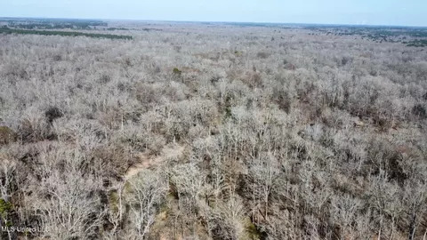 1 Evans Rd, Carthage, MS 39051 photo 69