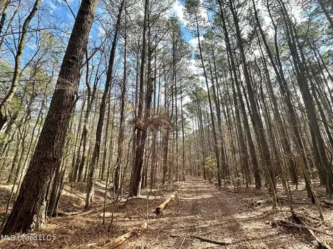 1 Evans Rd, Carthage, MS 39051 photo 25