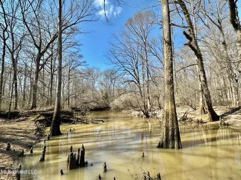 1 Evans Rd, Carthage, MS 39051 photo 49