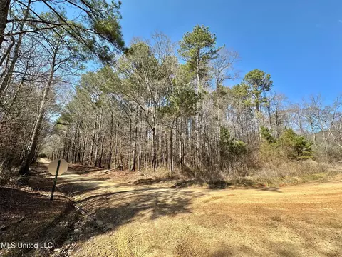 1 Evans Rd, Carthage, MS 39051 photo 34