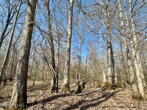 1 Evans Rd, Carthage, MS 39051 photo 46