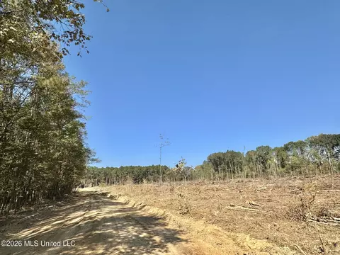 1 Evans Rd, Carthage, MS 39051 photo 58