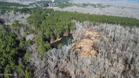 1 Evans Rd, Carthage, MS 39051 photo 116
