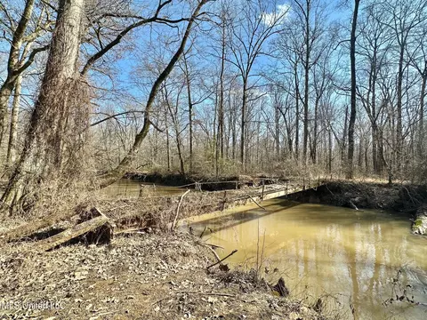 1 Evans Rd, Carthage, MS 39051 photo 82
