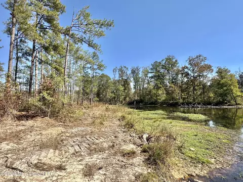 1 Evans Rd, Carthage, MS 39051 photo 64