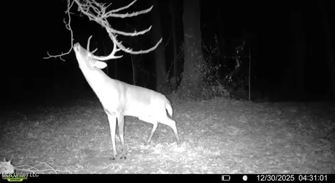 1 Evans Rd, Carthage, MS 39051 photo 137