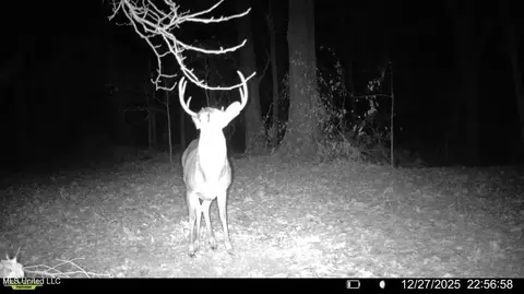 1 Evans Rd, Carthage, MS 39051 photo 136