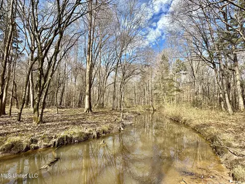 1 Evans Rd, Carthage, MS 39051 photo 9