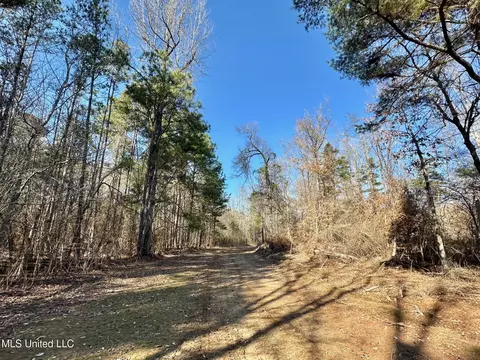 1 Evans Rd, Carthage, MS 39051 photo 112