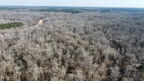 1 Evans Rd, Carthage, MS 39051 photo 118