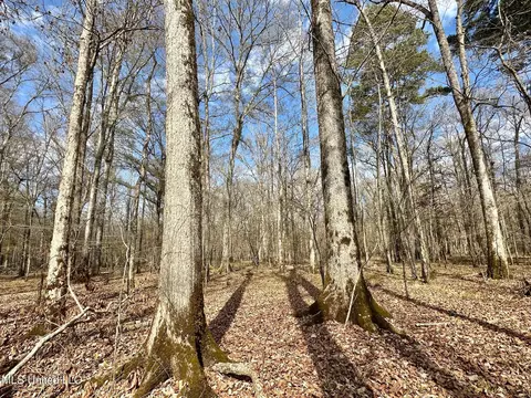 1 Evans Rd, Carthage, MS 39051
