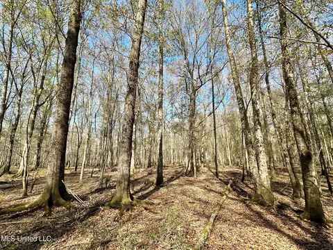 1 Evans Rd, Carthage, MS 39051 photo 40