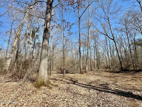 1 Evans Rd, Carthage, MS 39051 photo 64